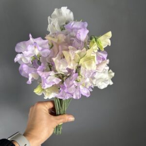 Sweet Pea April in Paris -High Scent